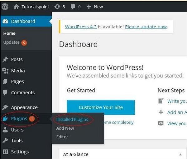 WordPress Plugin Settings