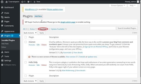 WordPress Plugin Settings