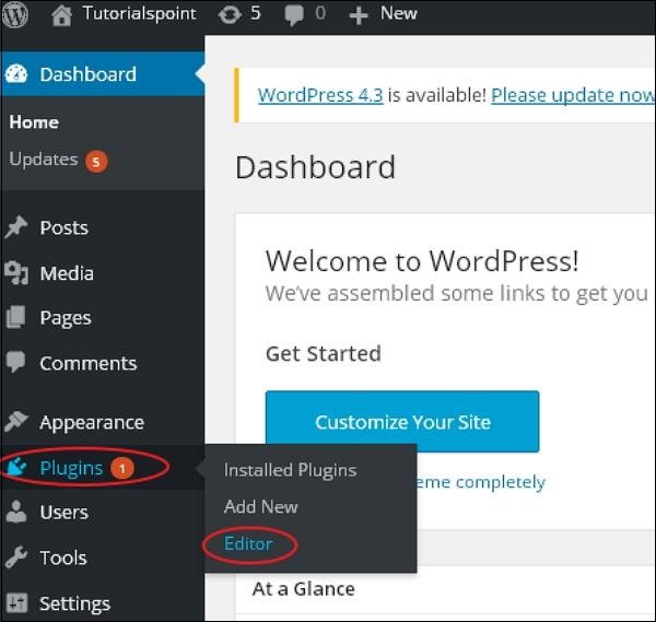 WordPress Plugin Settings