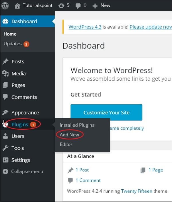 WordPress Plugin Setup