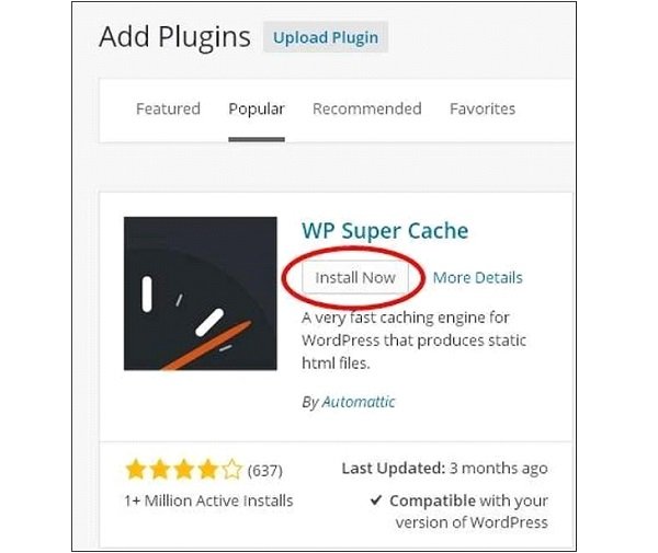 WordPress Plugin Setup