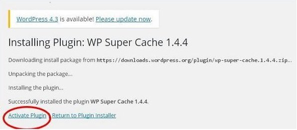 WordPress Plugin Settings