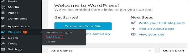 WordPress custom plug-in