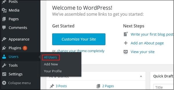 WordPress Editor User