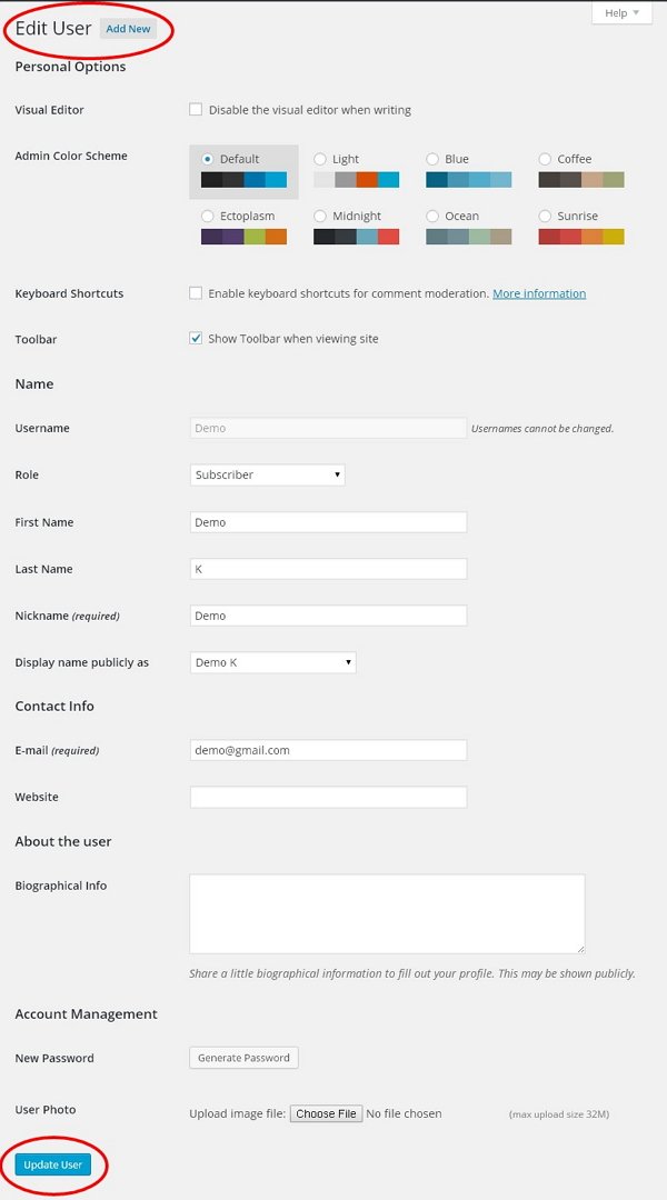 WordPress Editor User