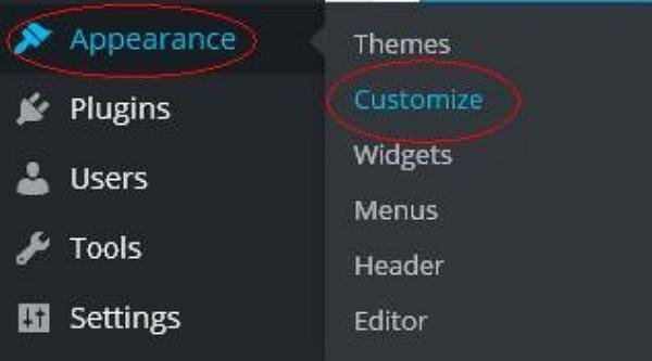 WordPress custom theme