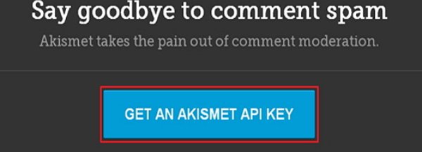 WordPress Spam Protection