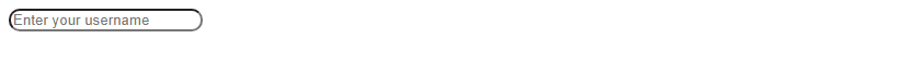 CSS input text