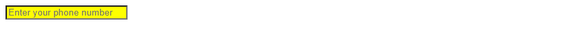 CSS input text
